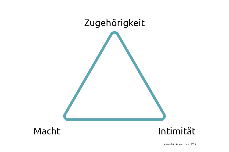 "Das gruppendynamische Dreieck nach A. Amann - dargestellt durch nevo, 2025"